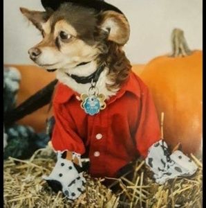 Meet your Posher, Judy